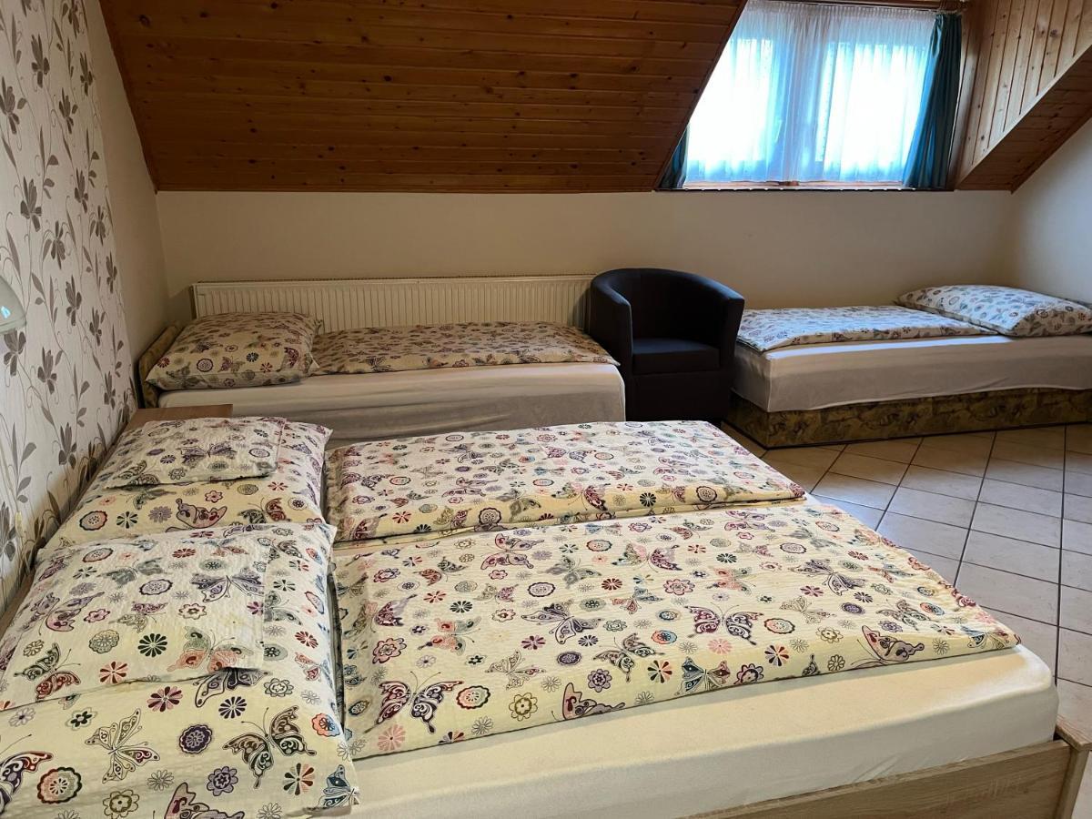 Ibolya Vendeghaz Apartment Kehidakustany Bagian luar foto