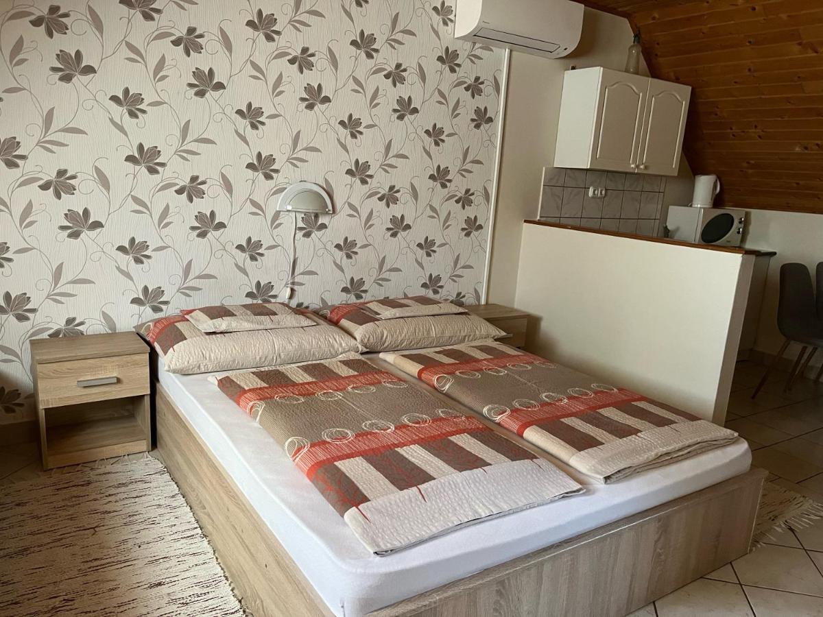 Ibolya Vendeghaz Apartment Kehidakustany Bagian luar foto