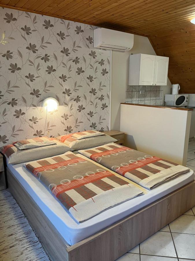 Ibolya Vendeghaz Apartment Kehidakustany Bagian luar foto